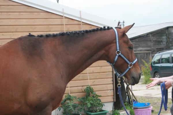 I know you have more food somewhere