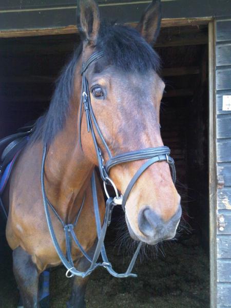 I love this pic of him <3