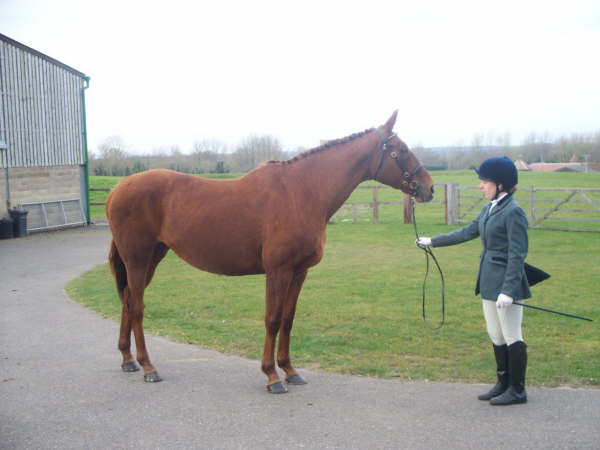 ILPH Inca with her groom Adele