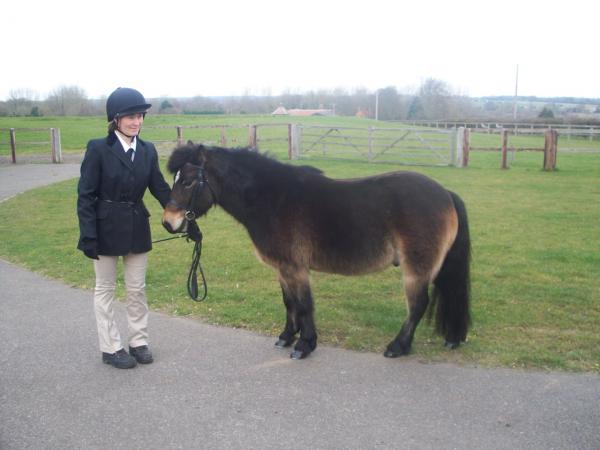 ILPH Marmite with His Groom Claire, He has now been rehomed