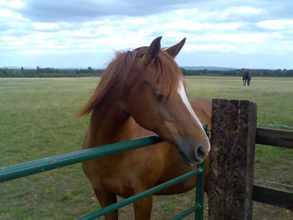 Image005