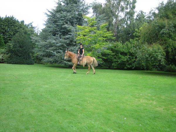 IMG 1589
25 August 2007