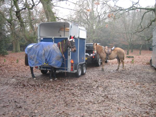 IMG 2034

Senor and Buddy waiting to go on the Criollo Ride in The New Forest 22 December 2007