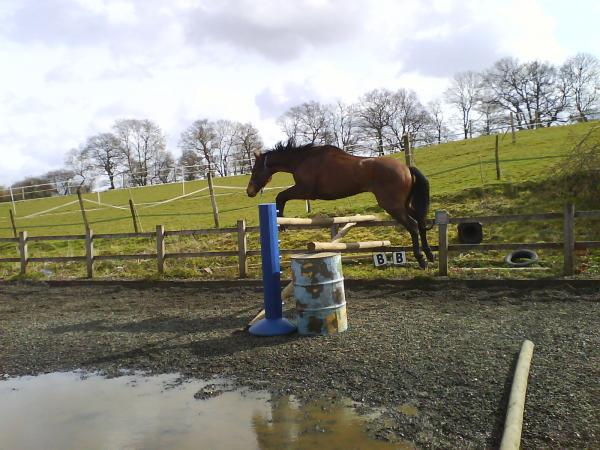 Jumping - biggest one ever!!!:O