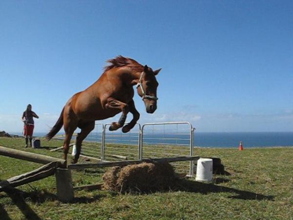 Jumping over the haybale.