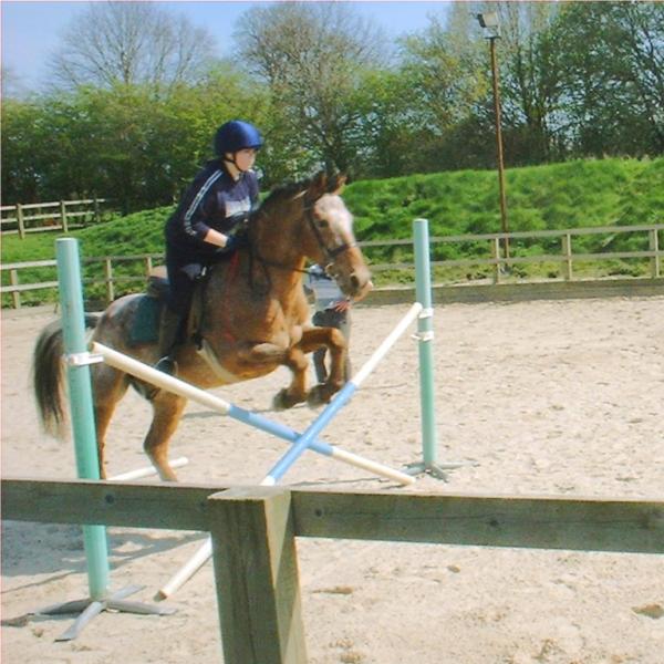 Jumping Shrek