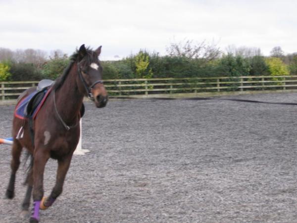 jumping20.01.08 001