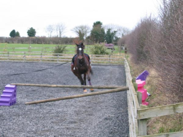 jumping20.01.08 009