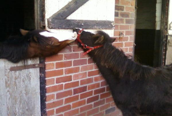 Kissy, kissy!!!