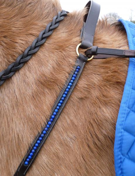 KV breast plate and reins