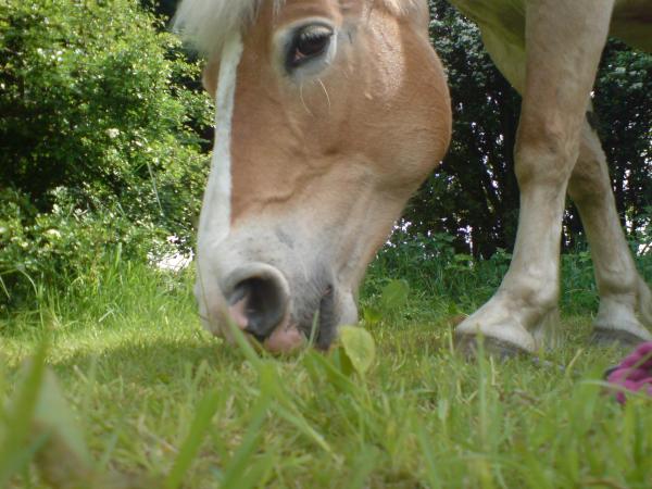 'leave me alone mum, im eating'