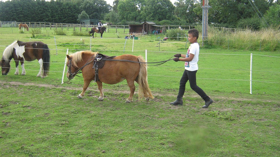 long reining -both first timers