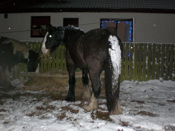 Look mum, it snowed on my bum.