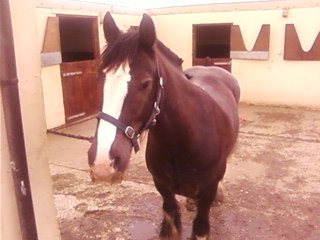 Looking good! he says LOL!
