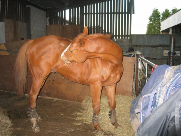 Looking sparkly! 
End 2004 I think