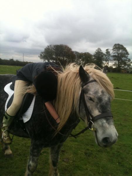 Love is...... A Fell Pony ;-)