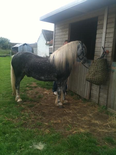 Lunan Looking tidier :)
