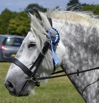 Lunans 2nd at Blankney show