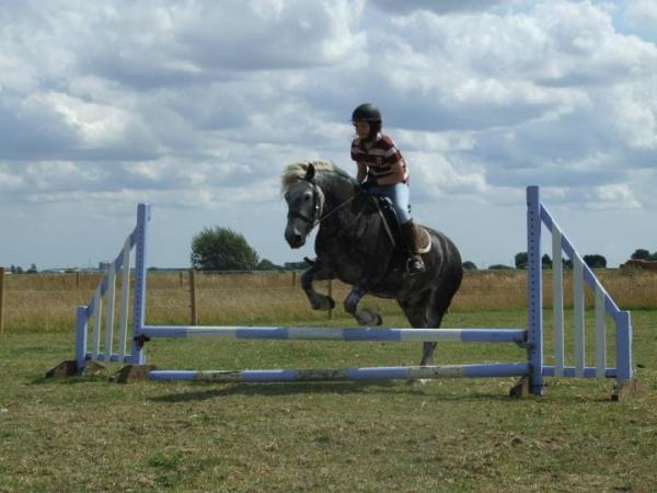 Lunnie and skye -first real jump aug 2011