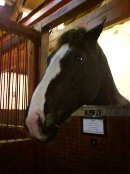 Max (ID x cob)