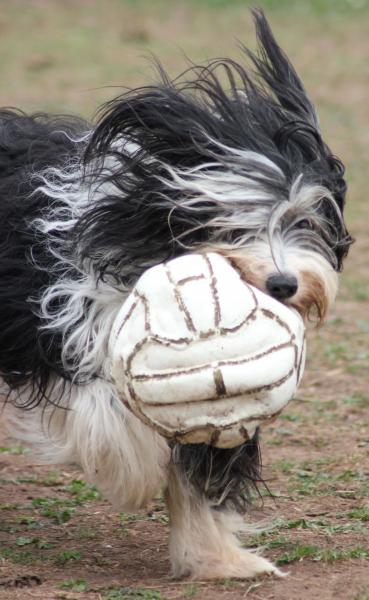 May enjoying a game with Dylans football.