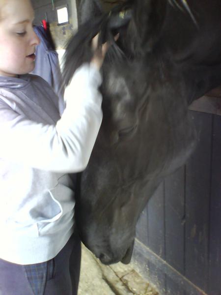 Me and bess (Freisan x shire)