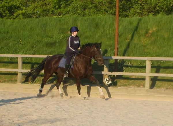 ME and Black Mare