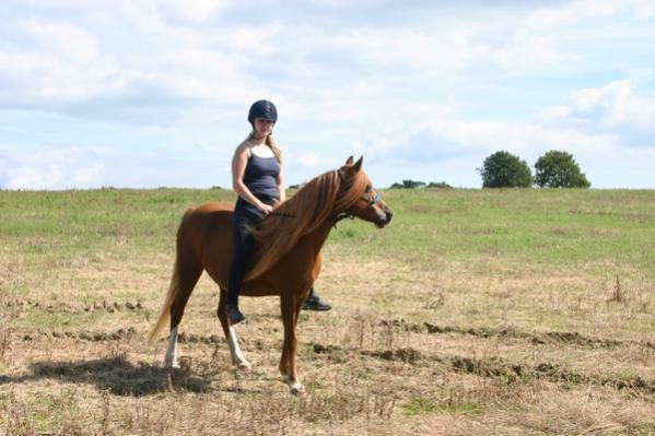 Me and Jaz out hacking last summer