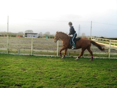 Me riding my friends horse Buffy