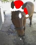 Merry xmas :)