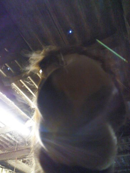 MUM?!?! whatcha doing