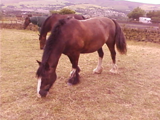 Munch time 2
