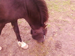 munching 1/8
