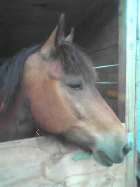 Murf again