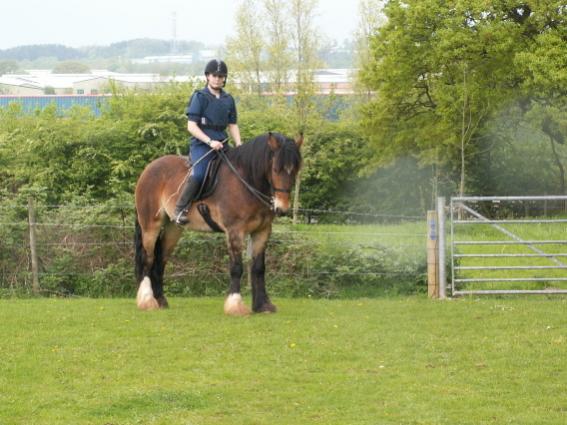 Murf ridden