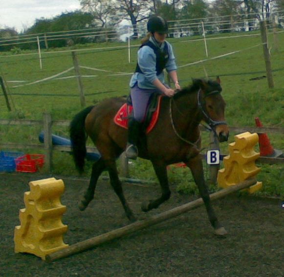 nice elevated trot!!!