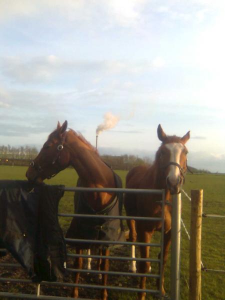 nope dont want to talk to you....you ate all the carrots!
