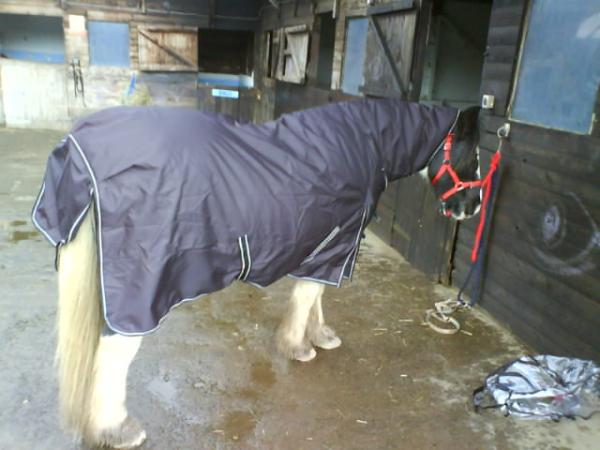 Nu Rug :)