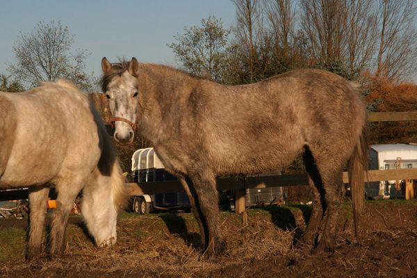 Only had her a few days at this point.