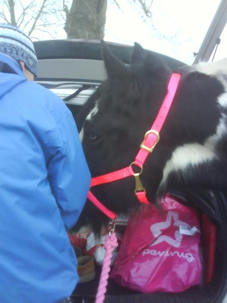 "oooh anything to eat in the boot?"