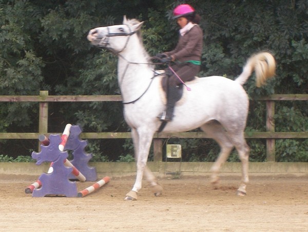 Oops! *Notice the refusal is at the tiniest fence ;P Silly horse!*