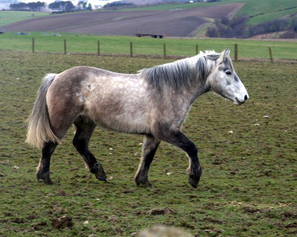 Oops.  Who chopped the tail?