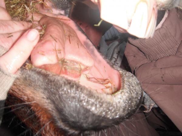 Ouch I did not want to do that