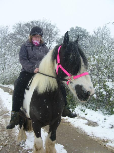 Out in the snow last winter