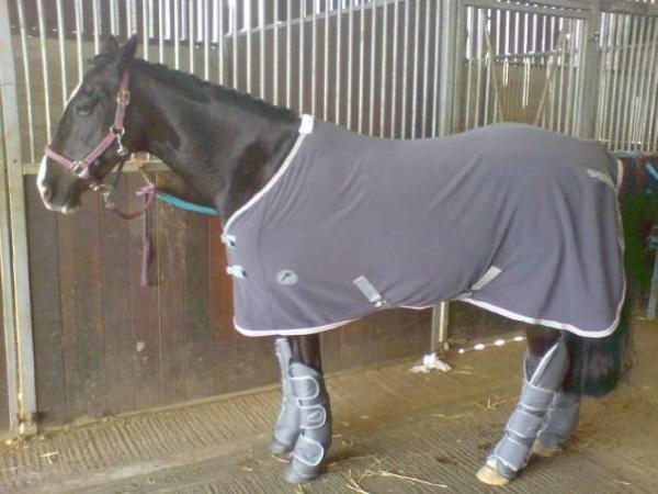 p*ssed she wasnt going in the field with the rest!!!