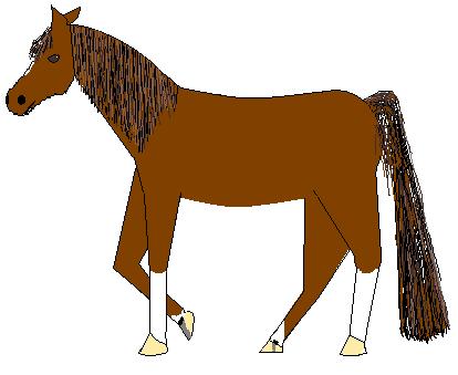 paint horse