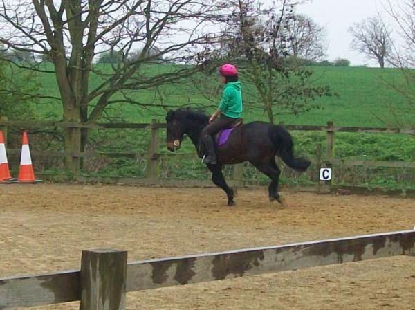 Percy thinking he's in the Grand National ;-)