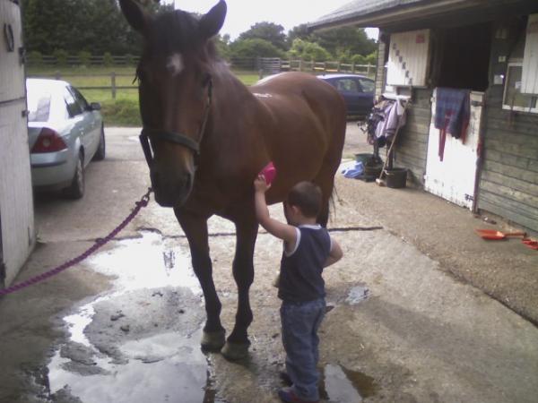 perfect pascal getting a groom!