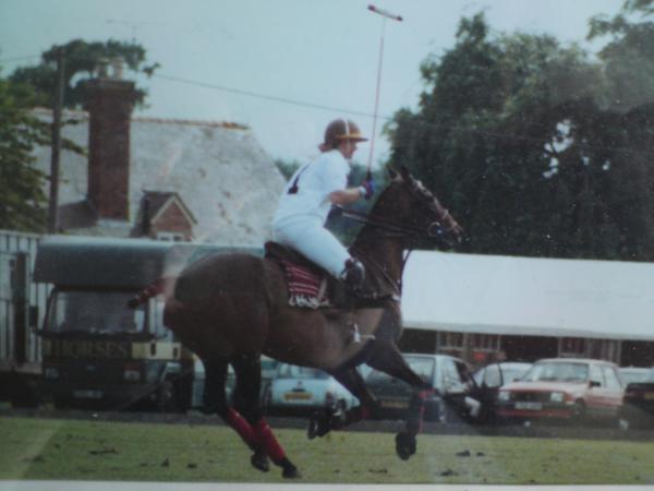 Playing polo on retrained OTTB