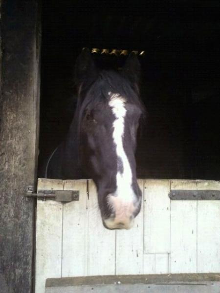 Prince- bloody scrumtious;) even if I do say so myself:)!